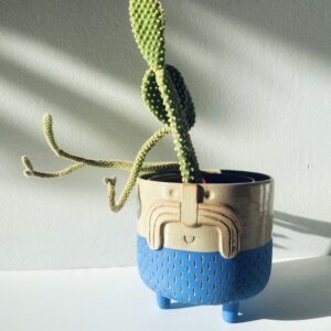 Cache pot en céramique bleu avec cactus au visage souriant et une belle moustache.