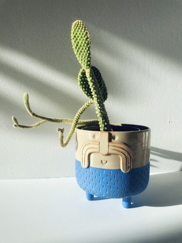 Cache pot en céramique bleu avec cactus au visage souriant et une belle moustache.