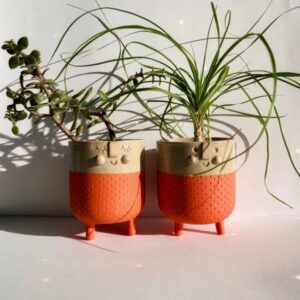 Rêveur - Wapi Agrume