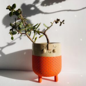 Rêveur - Wapi Agrume