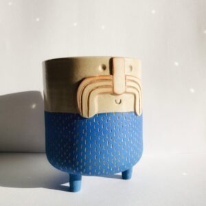 Mr Frank - Wapi Azur