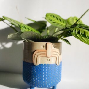 Mr Frank - Wapi Azur