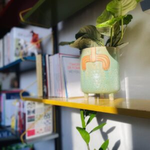 Mr Frank - Wapi vert d'eau