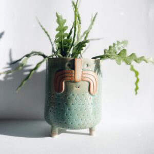 Mr Frank - Wapi vert d'eau