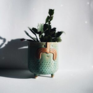 Mr Frank - Wapi Turquoise