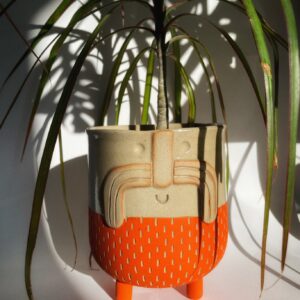 Mr Frank - Wapi Agrume